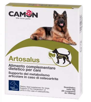 CAMON Artosalus 60cpr