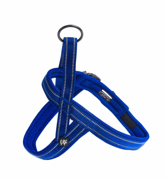 LEOPET Pettorina Norvegese Blu