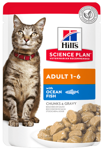 HILL'S Cat Adult Bocconcini con Pesce dell'Oceano 85Gr