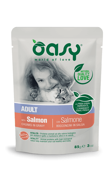 OASY Cat Adult Bocconcini in Salsa al Salmone 12x85gr