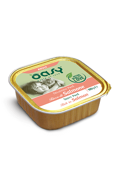 OASY Cat Adult Patè di Salmone 16x100Gr