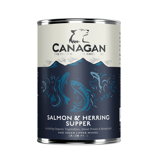 CANAGAN Cane Salmone e Aringa Grain Free ( 6Pz x 400gr )