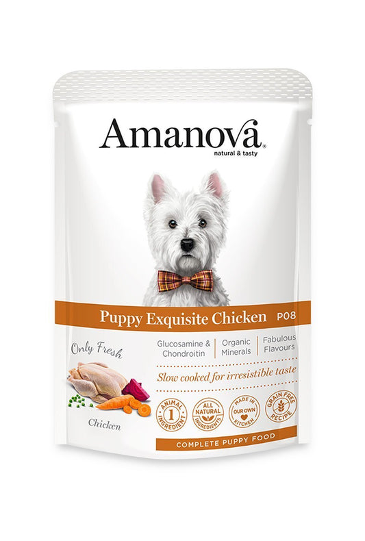 AMANOVA Cane Puppy al Pollo 100gr