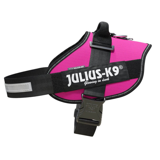 JULIUS K9 Pettorina Powerharness Fucsia