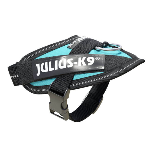 JULIUS K9 Pettorina Powerharness Baby Azzurro