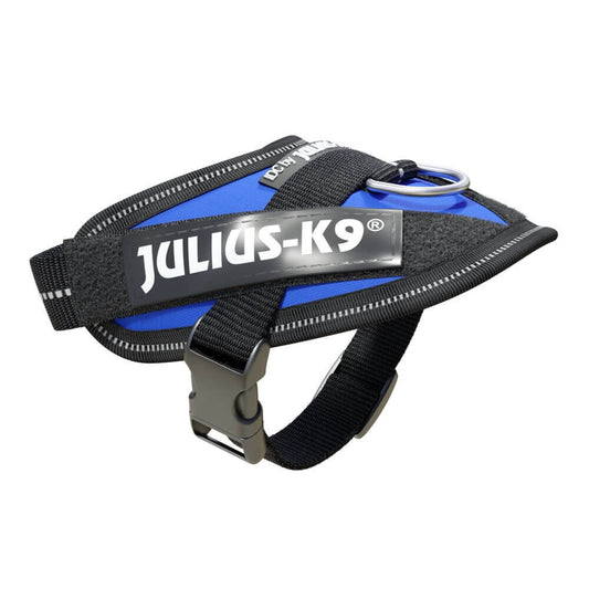 JULIUS K9 Pettorina Powerharness Baby Blu