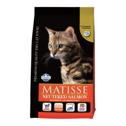 MATISSE Gatto Salmone Sterilizzato 10Kg