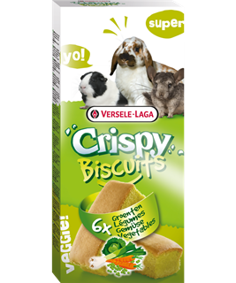 VERSELE LAGA Crispy Biscuits Vegetal 70Gr