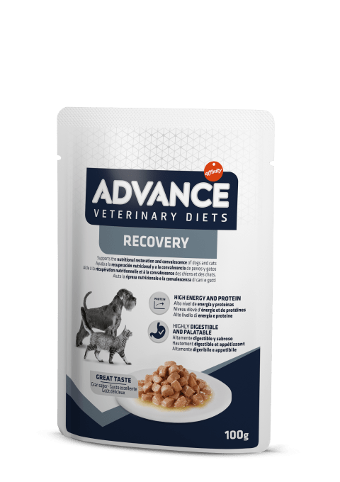 ADVANCE Recovery Cane e Gatto 150Gr