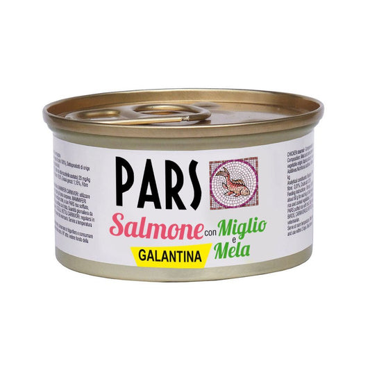 PARS Galantina Salmone con Miglio e Mela 95Gr