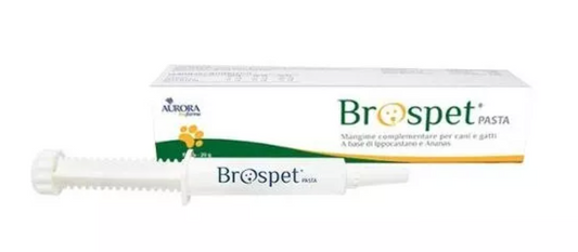 AURORA Brospet Pasta Cane & Gatto 20Gr