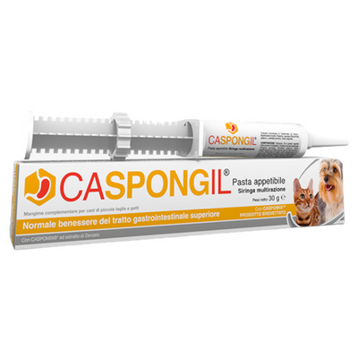 SHEDIRPHARMA Caspongil Pasta 30 gr