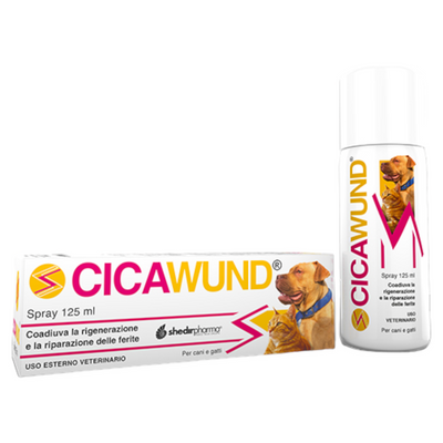 SHEDIRPHARMA Cicawund Spray Cicatrizzante 125 ml