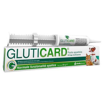 SHEDIRPHARMA Gluticard Pasta 30 gr