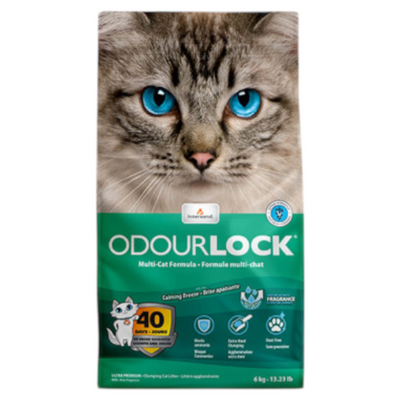 ODOURLOCK Lettiera Agglomerante Breeze 6Kg