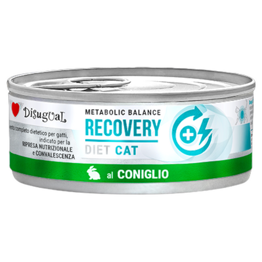 DISUGUAL Cat Recovery Patè al Coniglio 85gr