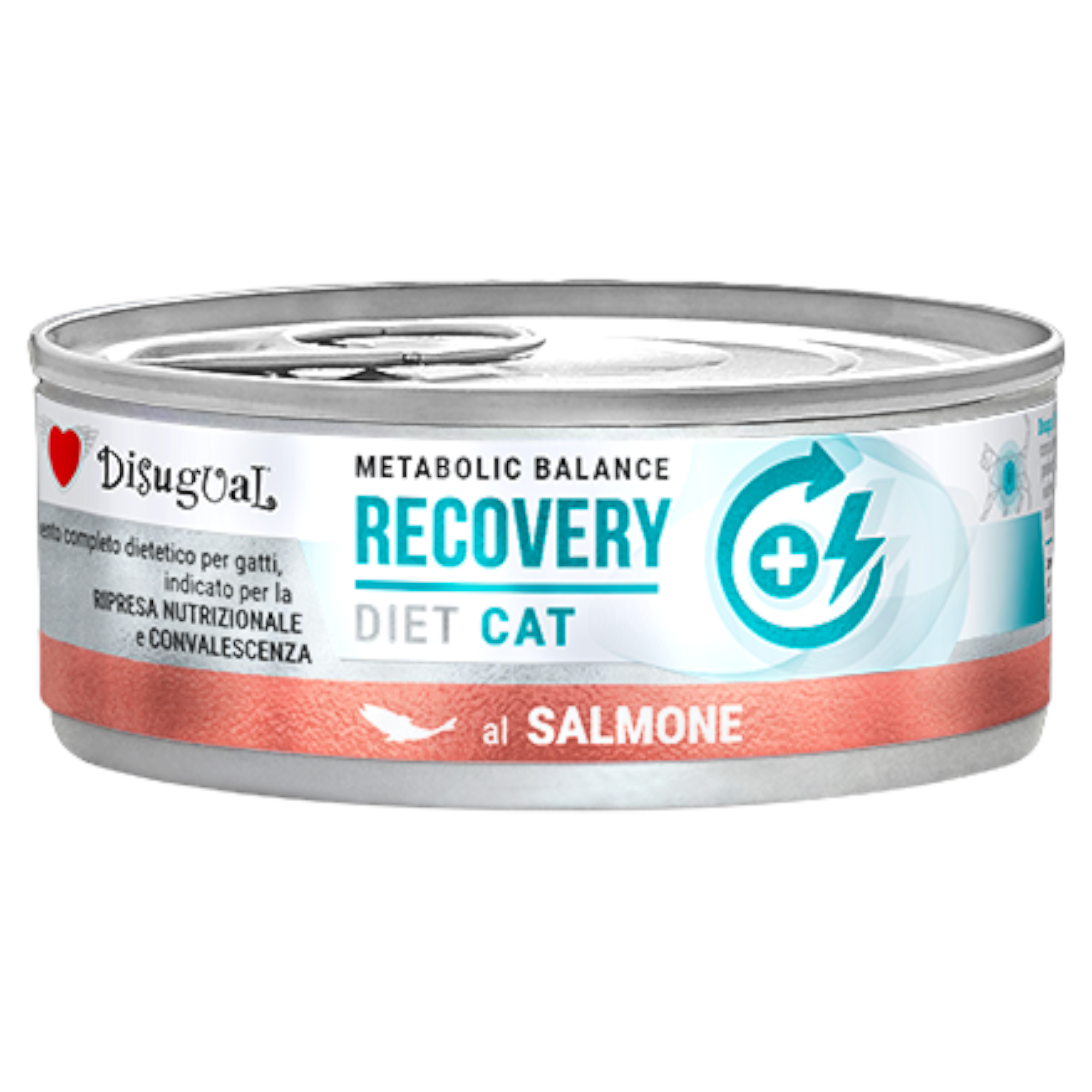 DISUGUAL Cat Recovery Patè al Salmone 85gr