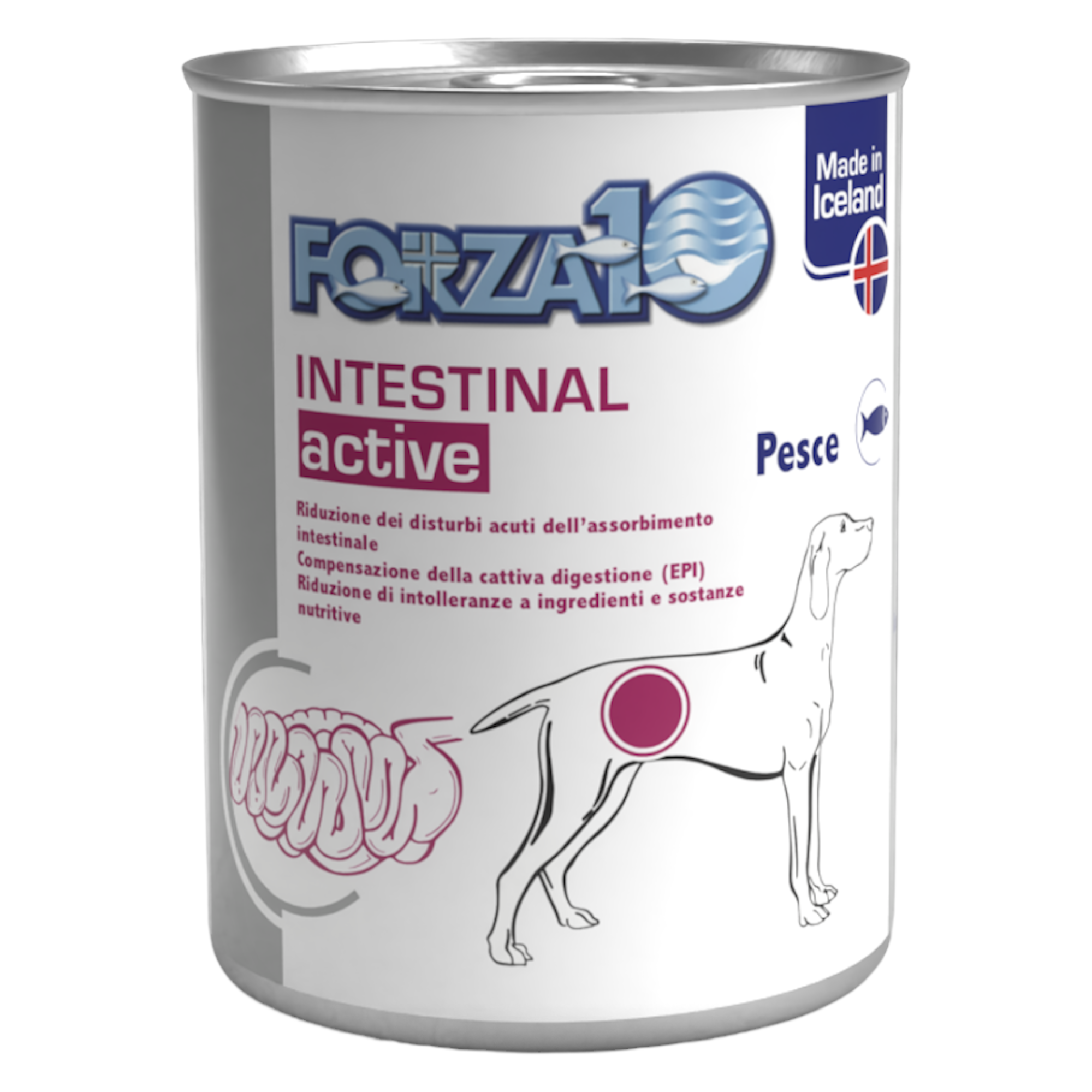 FORZA10 Dog Intestinal Active al Pesce 390gr