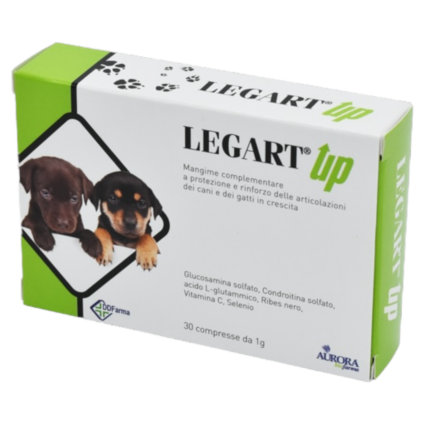 AURORA Legart Up Cane e Gatto 120cpr