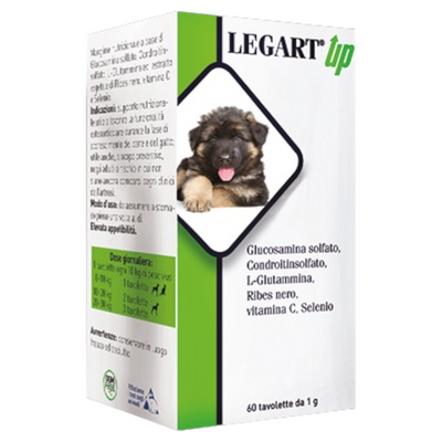 AURORA Legart Up Cane e Gatto 60cpr