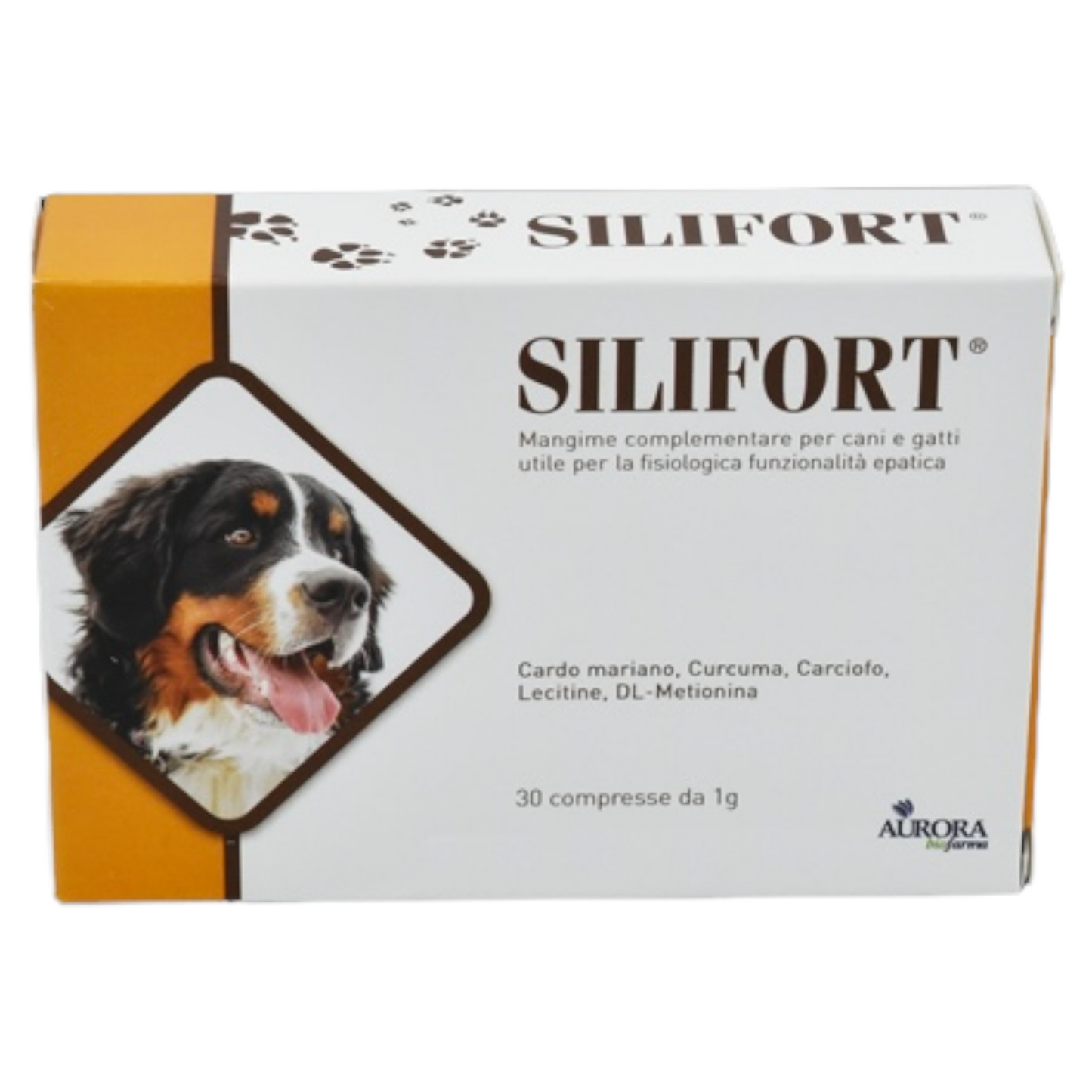 AURORA Silifort Pasta Cane e Gatto 15 gr