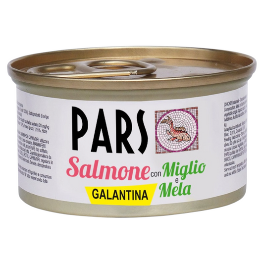 PARS Galantina Salmone con Miglio e Mela 95Gr