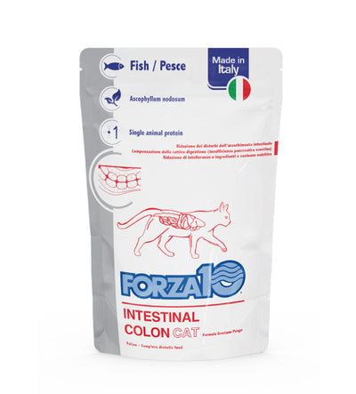 FORZA10 Cat INTESTINAL COLON Active al Pesce 100gr